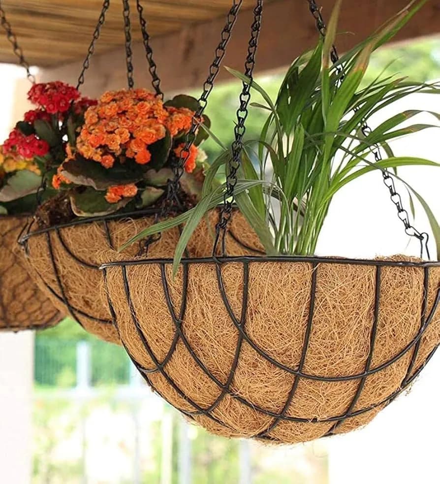 8 Inch Coir Hanging Basket (Pack of 2) with Metal Chain – Natural Coconut Fiber Planter for Indoor & Outdoor Plants